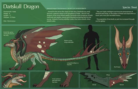 personal dartskull dragon species design  ulario  deviantart