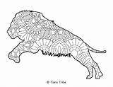 Coloring Mandala Animal Pages Lion sketch template