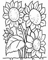 Sunflower Coloring Pages Kids Sunflowers Printable Color Flower Sheet Sheets Flowers Colouring Coloriage Zonnebloem Book sketch template