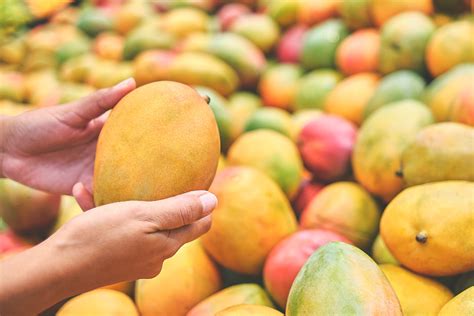 types  mangoes   varieties fine dining lovers