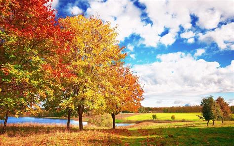 bright autumn day wallpapers wallpaper cave