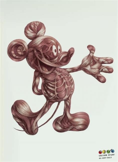 muscular system disney cartoon characters cartoon scientific illustration