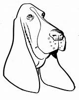 Hound Clipart Basset Dog Coon Coloring Drawing Silhouette Cliparts Clip Clipartpanda Getdrawings Printable Favorites sketch template