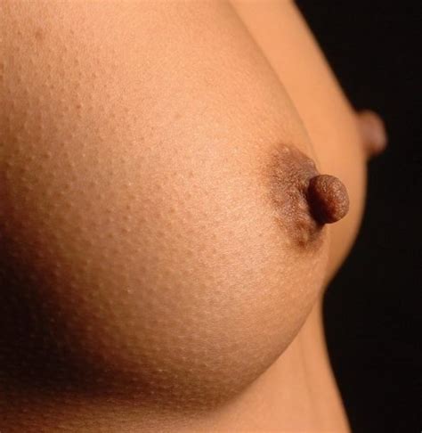 dark nipples erect nipples firm tits nice tits image uploaded by user taxman27 at fantasti cc
