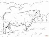 Bull Ferdinand sketch template