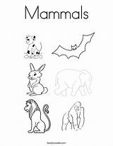 Mammals Coloring Animals Pages Print Nocturnal Mammal Color Names Reptiles Red Twistynoodle Blue Favorites Login Add Noodle Twisty sketch template