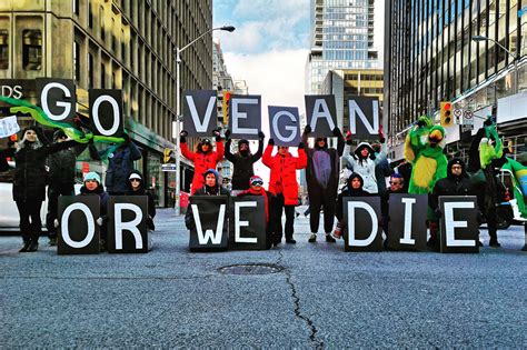 vegan protesters block  major toronto intersection  amazon rainforest