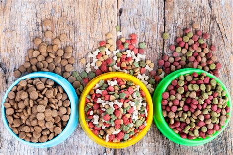 pet foods market booming segments investors seeking astonishing growth