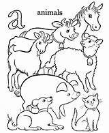 Farm Animals Coloring Pages Preschoolers Getcolorings sketch template