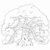 Oak Tree Coloring Forest Pages Trees Guard Color Getcolorings Printable Family Getdrawings sketch template