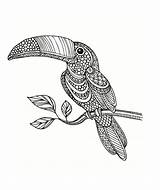Zentangle Toucan Animal sketch template