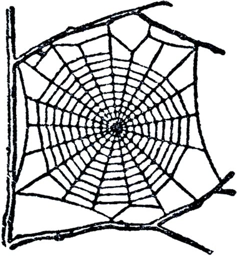 spider web clip art  graphics fairy