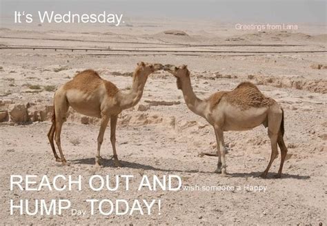 92 Best Images About Guess What Day It Is On Pinterest Quotes Quotes