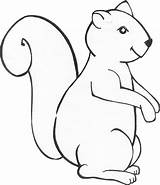Squirrel Eekhoorn Kleurplaat Eikel Pbworks Preschoolers Downloaden sketch template