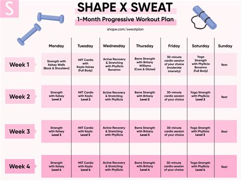 shape  sweat  month workout routine  beginners