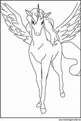 Pegasus Ausmalbilder Pferde Einhorn Ausmalbild Malen Pferd Vorlage Tiere Coole Malvorlage Zahlen Mandala Schultüte Pinnwand Registriert Domain sketch template