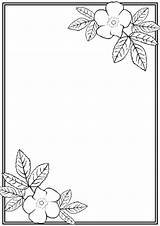 Border Flower Borders Drawing Templates Word Simple Document Designs Sketch Christmas Printable Clipart Paper School Projects Corner Cliparts Clip Coloring sketch template