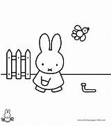 Miffy Coloring Pages Cartoon Character Color Printable Kids Characters Comments Sheets Found sketch template