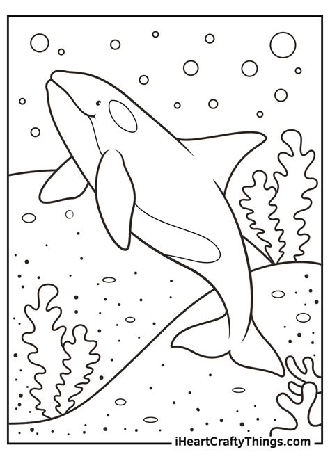 killer whale coloring pages updated