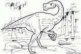 Colorear Dinosaurios Dinosaurio Selva Dinossauros Dinossauro Dinosaurs Dinozaury Kolorowanki Dinosaures Colorkid Dinosauri Dinosaurier Kolorowanka Dinosaur Coloriages sketch template
