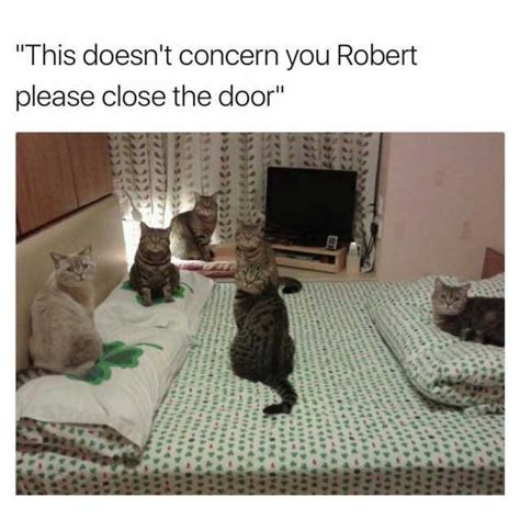 memes this doesnt concern you robert please close the door