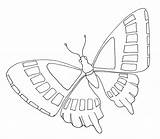 Butterfly Simple Kids Flying Insects Coloring Insect Drawing Pages Getdrawings sketch template