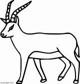 Antelope Springbok Blackbuck Gazelle Bushbuck Icon Coloring Africa South Pages Easy sketch template