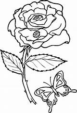Coloring Pages Rose Roses Hearts Butterfly Adult sketch template