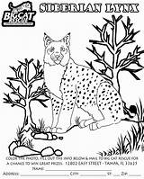 Lynx Coloring Pages Kids Siberian Canada Coloringbay Getcolorings Library Animals Popular Insertion Codes sketch template