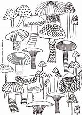 Mushroom Coloring sketch template