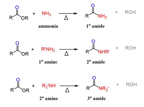 esters reaction  amines  aminolysis mechanism chemistry steps