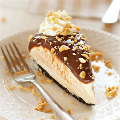 No Bake Creamy Peanut Butter Chocolate Cheesecake The Busy Baker