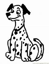 Coloring Dalmation Pages Dalmatian Dog Designlooter Popular 792px 79kb sketch template