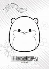 Squishmallows Squishmallow Humphrey Hamster Cuddly Xcolorings Coloringpagesonly sketch template