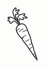 Wortel Carrot sketch template