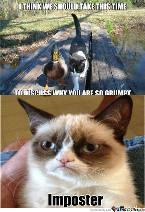 [rmx] actual advice mallard meets grumpy cat by redtrainer meme center
