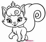 Coloring Kitten Pages Print Cute Kittens Puppy Drawing Cat Kitty Real Color Baby Printable Cats Princess Colouring Pets Palace Puppies sketch template