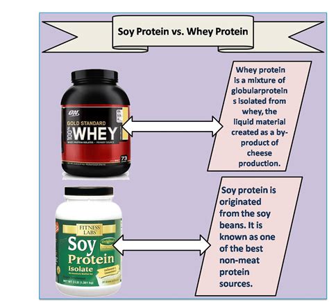 types  soy protein  solution   fit body