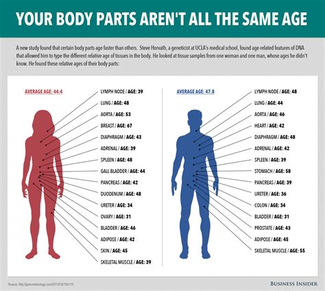 Some Parts Of Your Body Age Faster Than Others