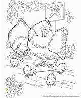 Coloring Pages Brer Rabbit Chicken Elegant Divyajanani sketch template