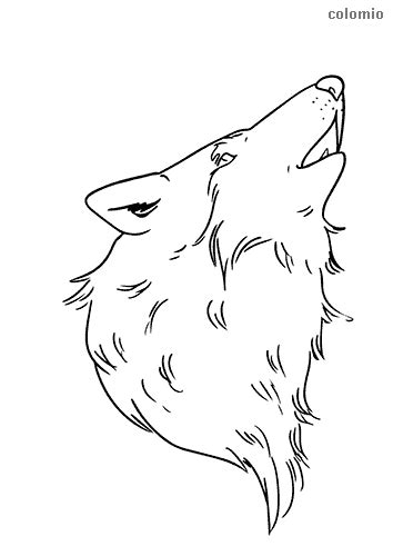 wolves coloring pages  printable wolf coloring sheets
