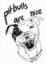 Pitbull Pitbulls Puppy Designlooter Bestcoloringpagesforkids Window sketch template