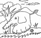 Coloring Elephant Coloringcrew sketch template