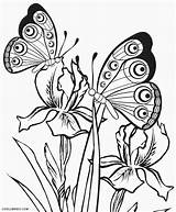 Coloring Butterfly Pages Adults Printable Butterflies Kids Color Detailed Cool2bkids Adult Preschool Print Life Book Cycle Colorings Getdrawings Getcolorings Drawing sketch template