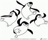 Madagascar Pinguine Pinguins Madagaskaru Pingwiny Madagaskar Ausmalbilder Os Colorir Taniec Kolorowankimalowanki Kolorowanki Kolorowanka Penguins Tanzen Dançando Nasi Druku Zapisano sketch template