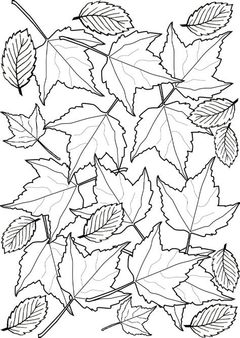 colouring autumn leaves rooftop post printables