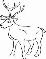 Kolorowanki Renifery Reindeers Renifer Deer Coloringbay Reniferami Rudolph sketch template