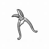 Pruning Shears Vintage Illustration Vector Rawpixel Drawing Clipart sketch template