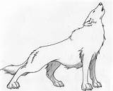 Wolf Drawing Howling Outline Tattoo Mating Drawings Easy Step Realistic Two Getdrawings Mates sketch template