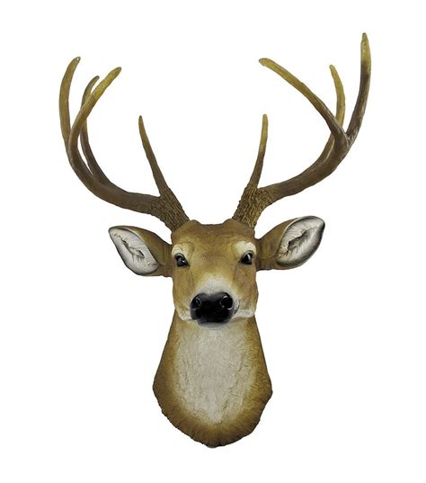 deer head picture clipart
